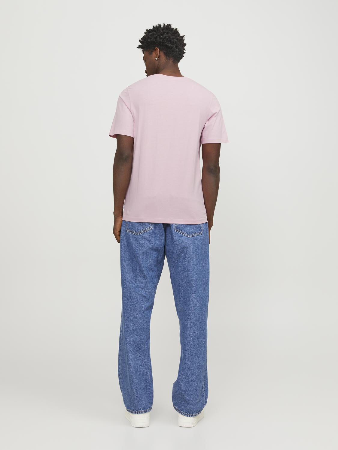 model_shot-back