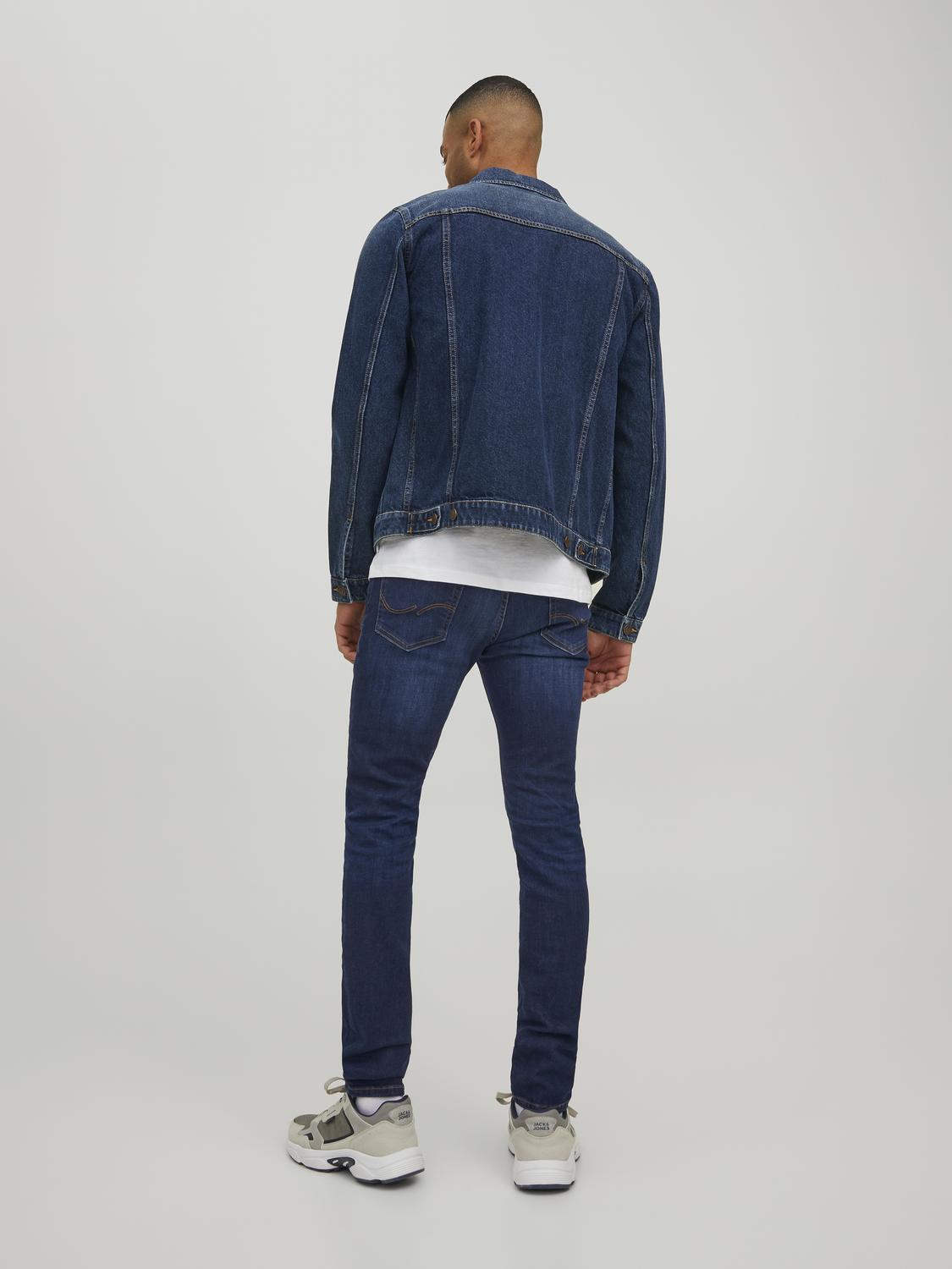 model_shot-back