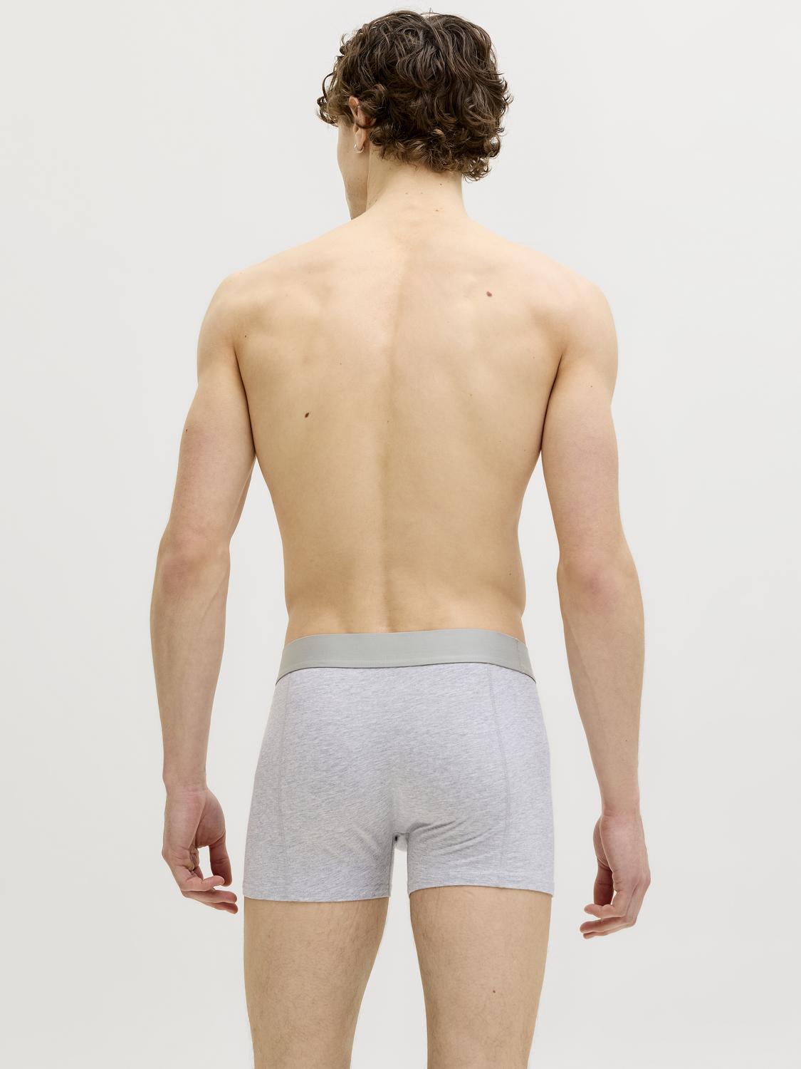 model_shot-back