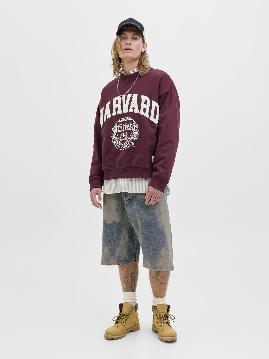 model_shot-front_full