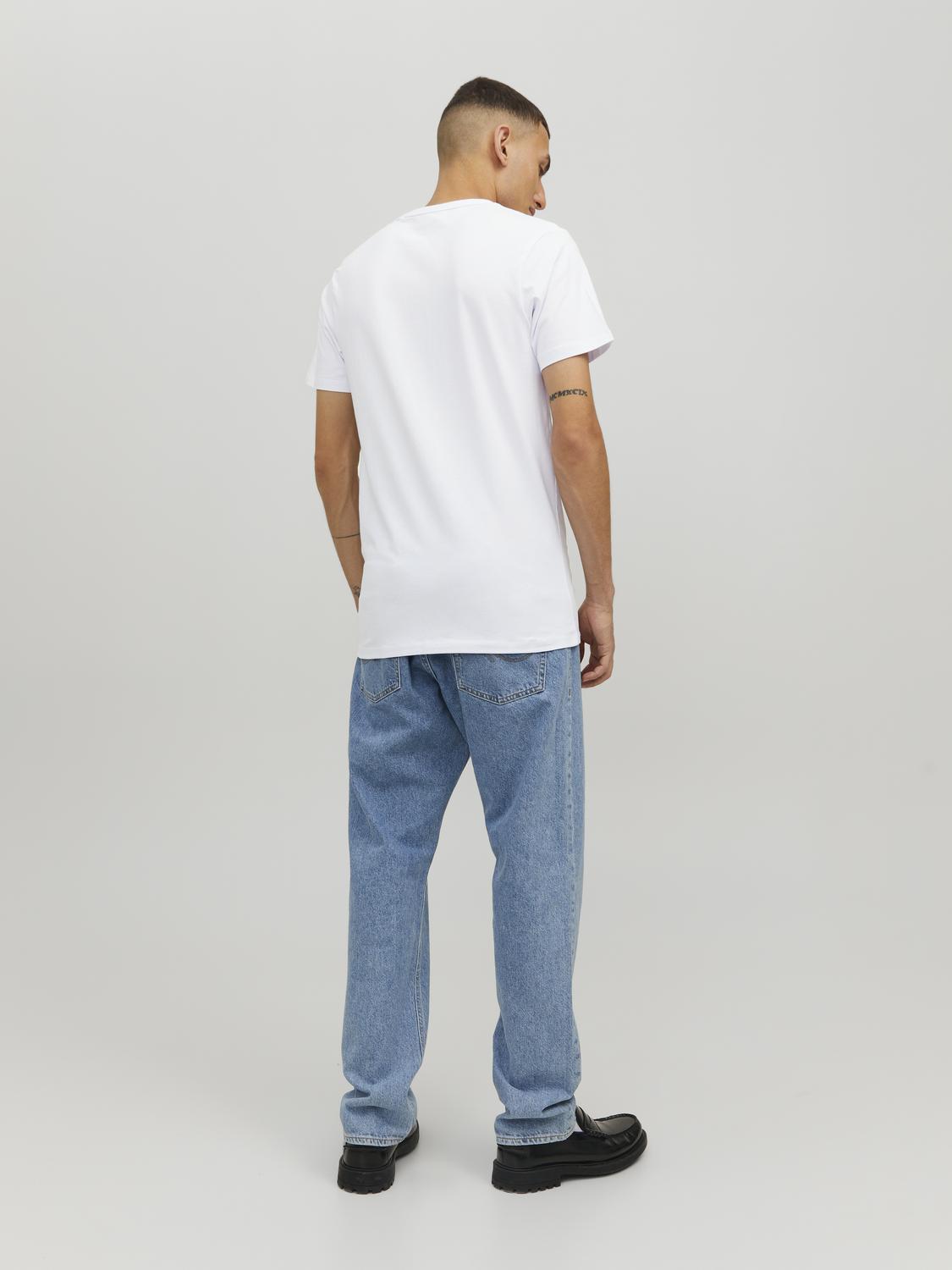 model_shot-back