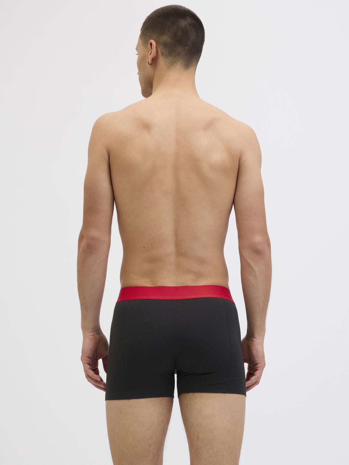 model_shot-back