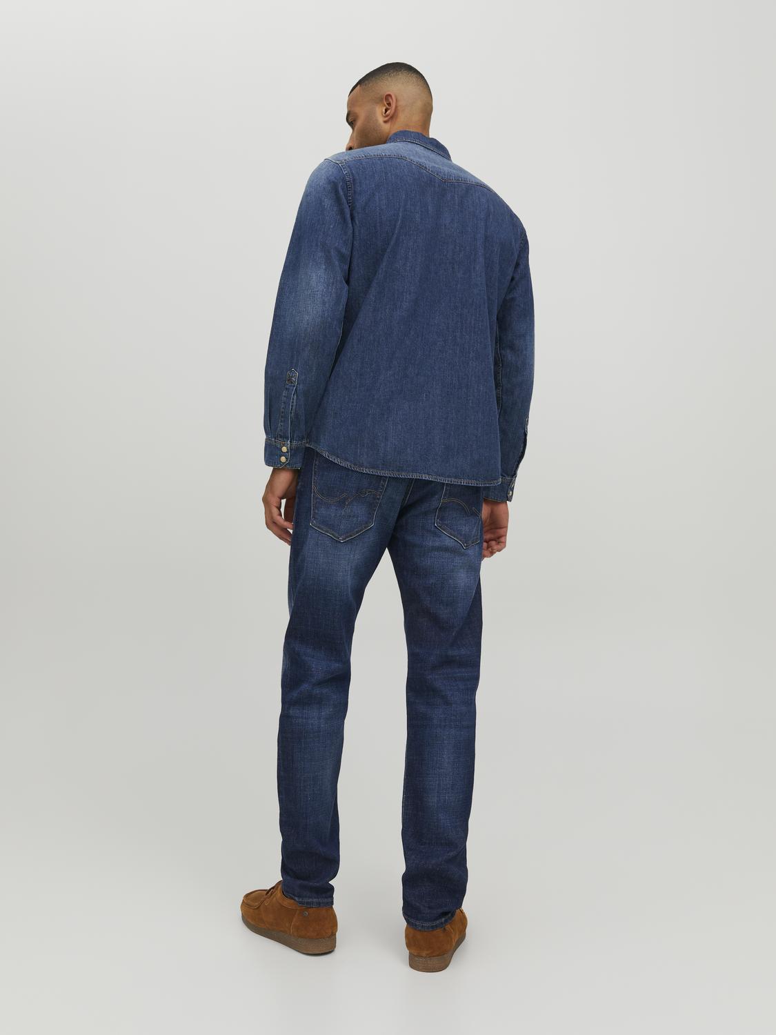 model_shot-back