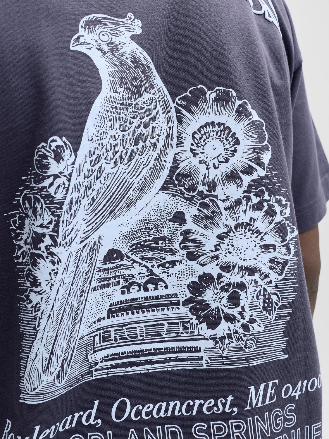 model_shot-detail