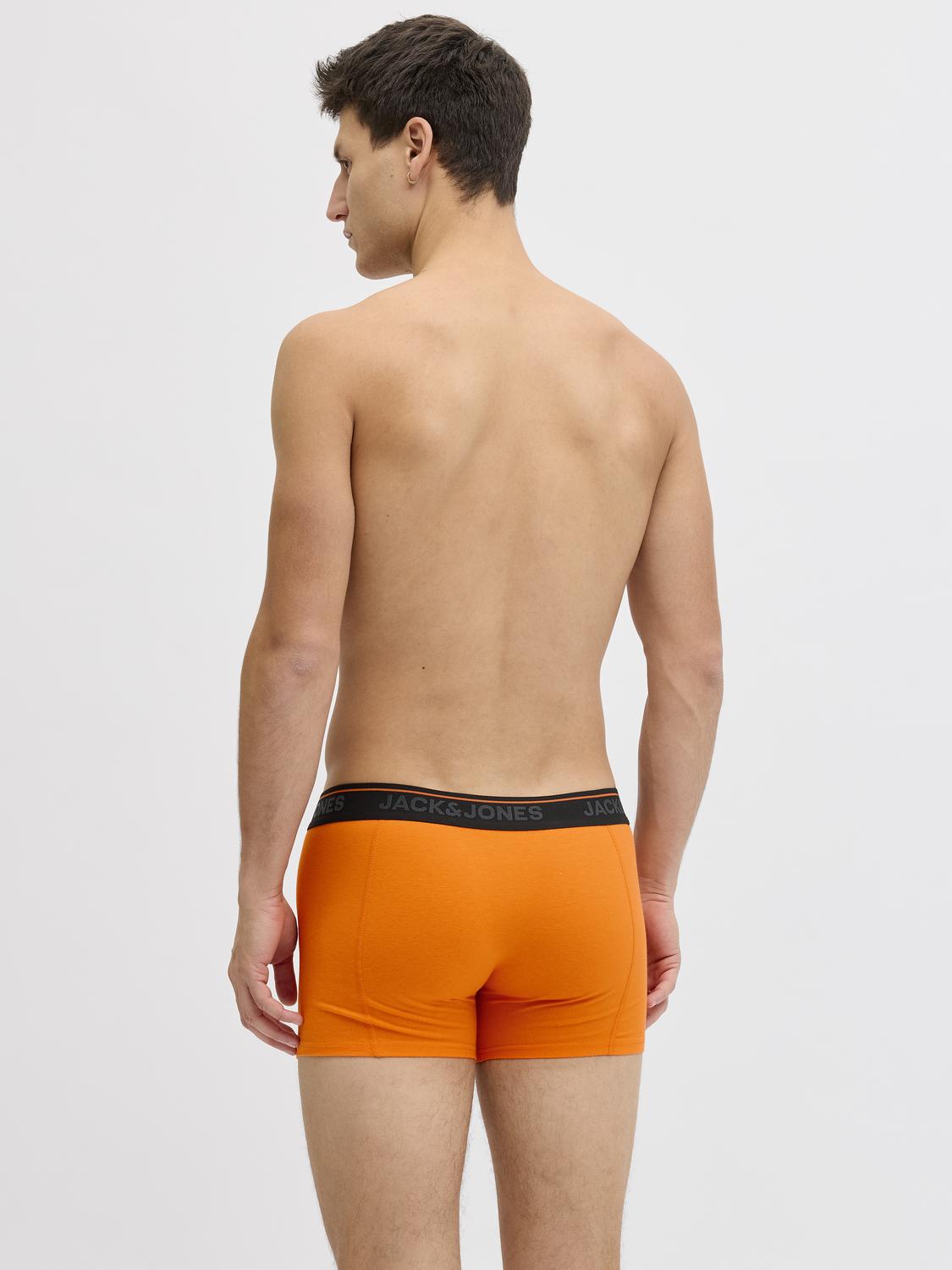 model_shot-back