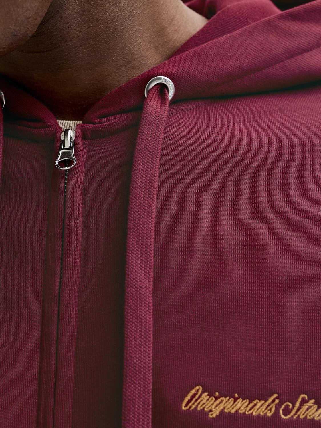 model_shot-detail